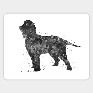 irish water spaniel dog black and white art Magnet